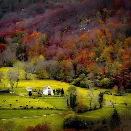 Les Alberts - La Coume Arrens-Marsous